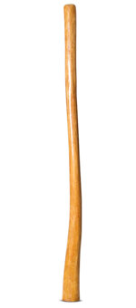 Gloss Finish Didgeridoo (TW1323)